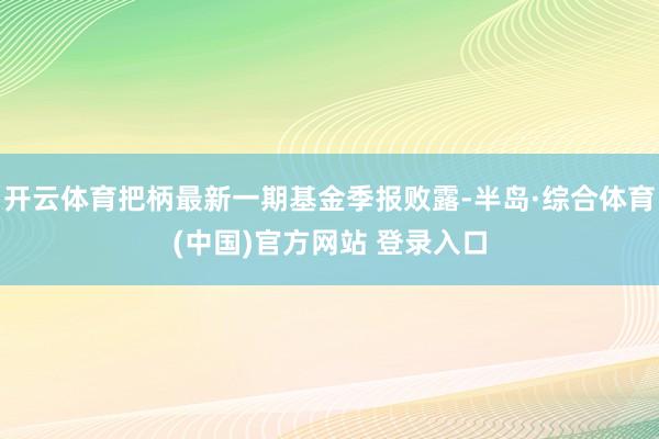 开云体育把柄最新一期基金季报败露-半岛·综合体育(中国)官方网站 登录入口