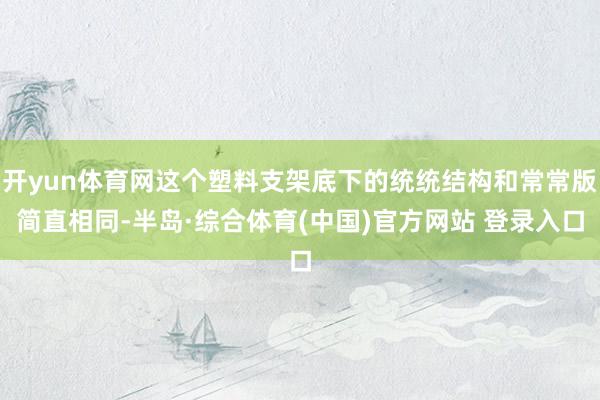 开yun体育网这个塑料支架底下的统统结构和常常版简直相同-半岛·综合体育(中国)官方网站 登录入口