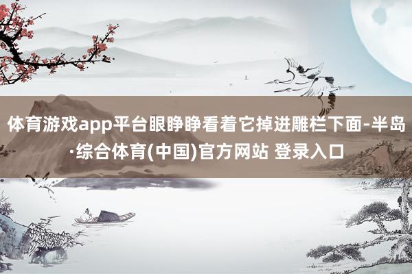 体育游戏app平台眼睁睁看着它掉进雕栏下面-半岛·综合体育(中国)官方网站 登录入口