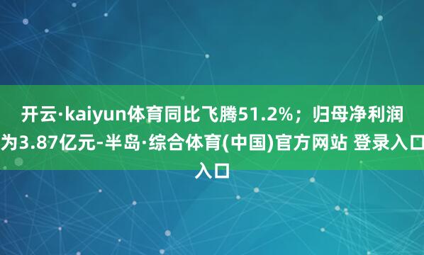 开云·kaiyun体育同比飞腾51.2%；归母净利润为3.87亿元-半岛·综合体育(中国)官方网站 登录入口